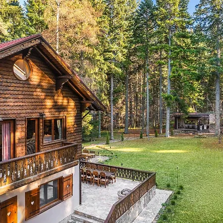 빌라 Mountain Luxury 보로베츠