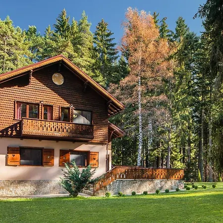 Mountain Luxury 보로베츠
